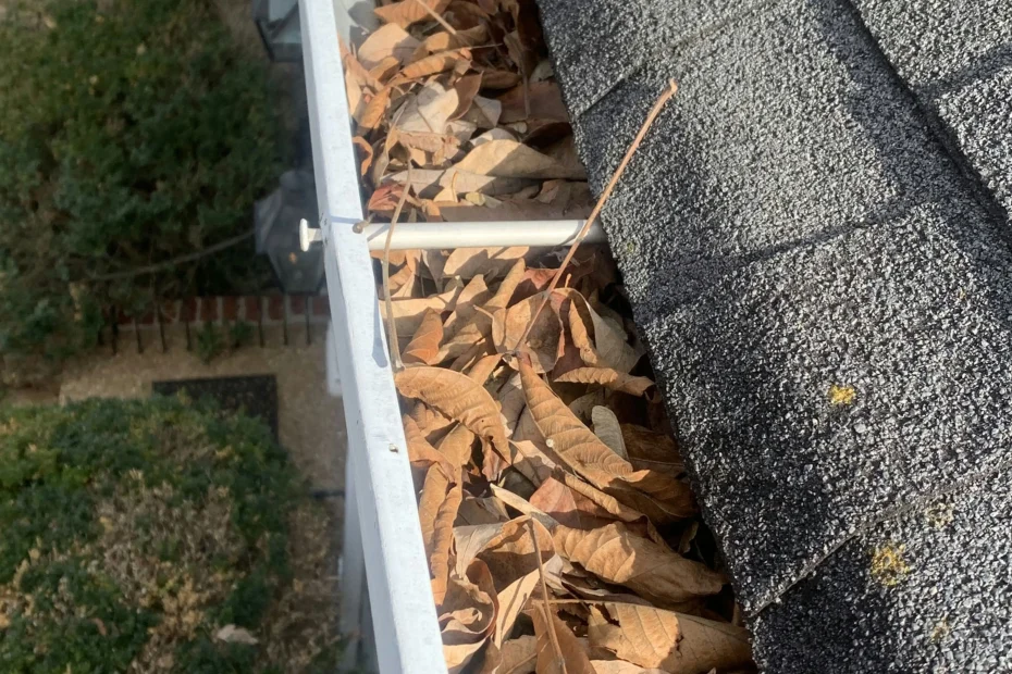 Gutter Cleaning Deer Park, TX