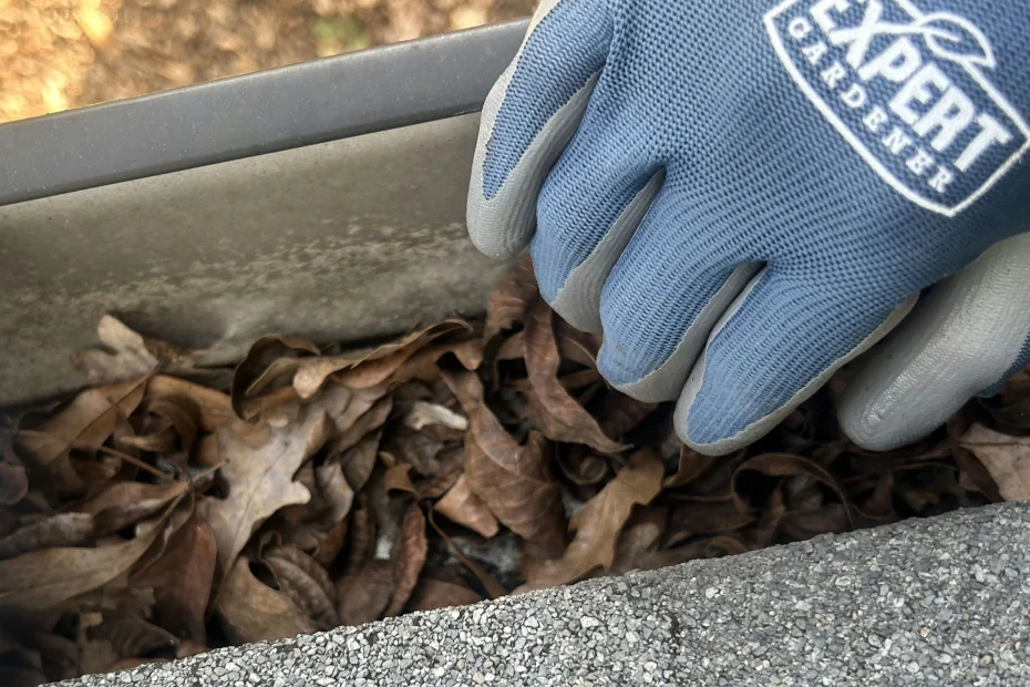 Deer Park Gutter Cleaning
