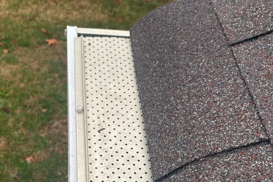 Deer Park Gutter Cleaning