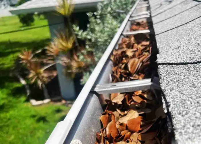 Deer Park gutter cleaning home page
